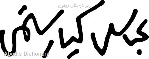 زیر درختان زیتون